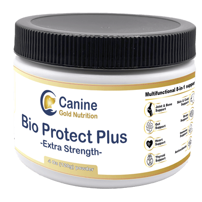 supplement for dog gut health