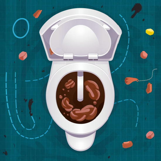 toilet with poop in it